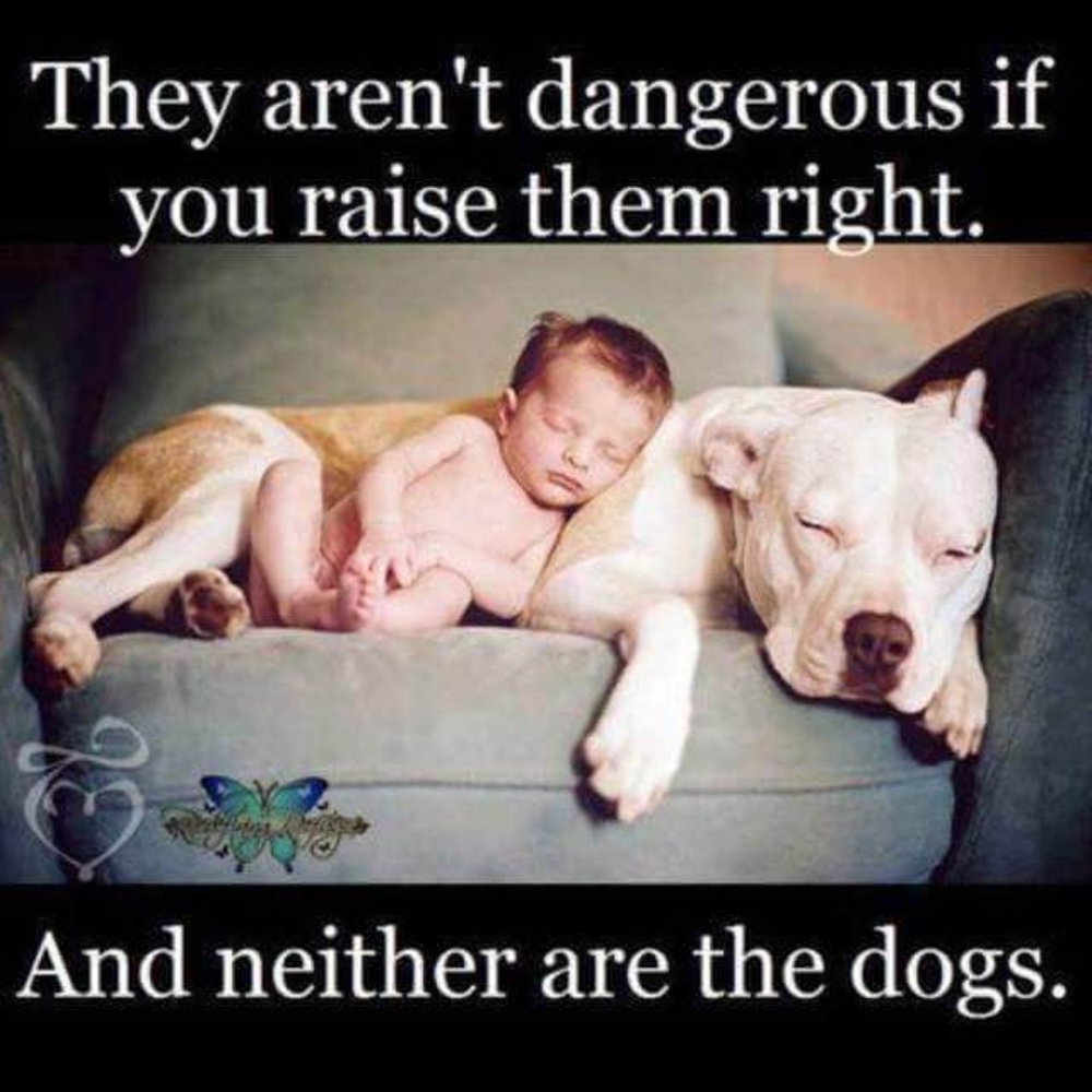 Love for the misunderstood